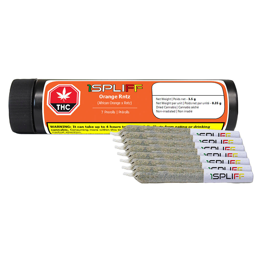 Orange Rntz Pre-Roll - 