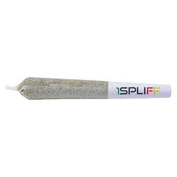 Photo Spliff Caddy Pre-Roll