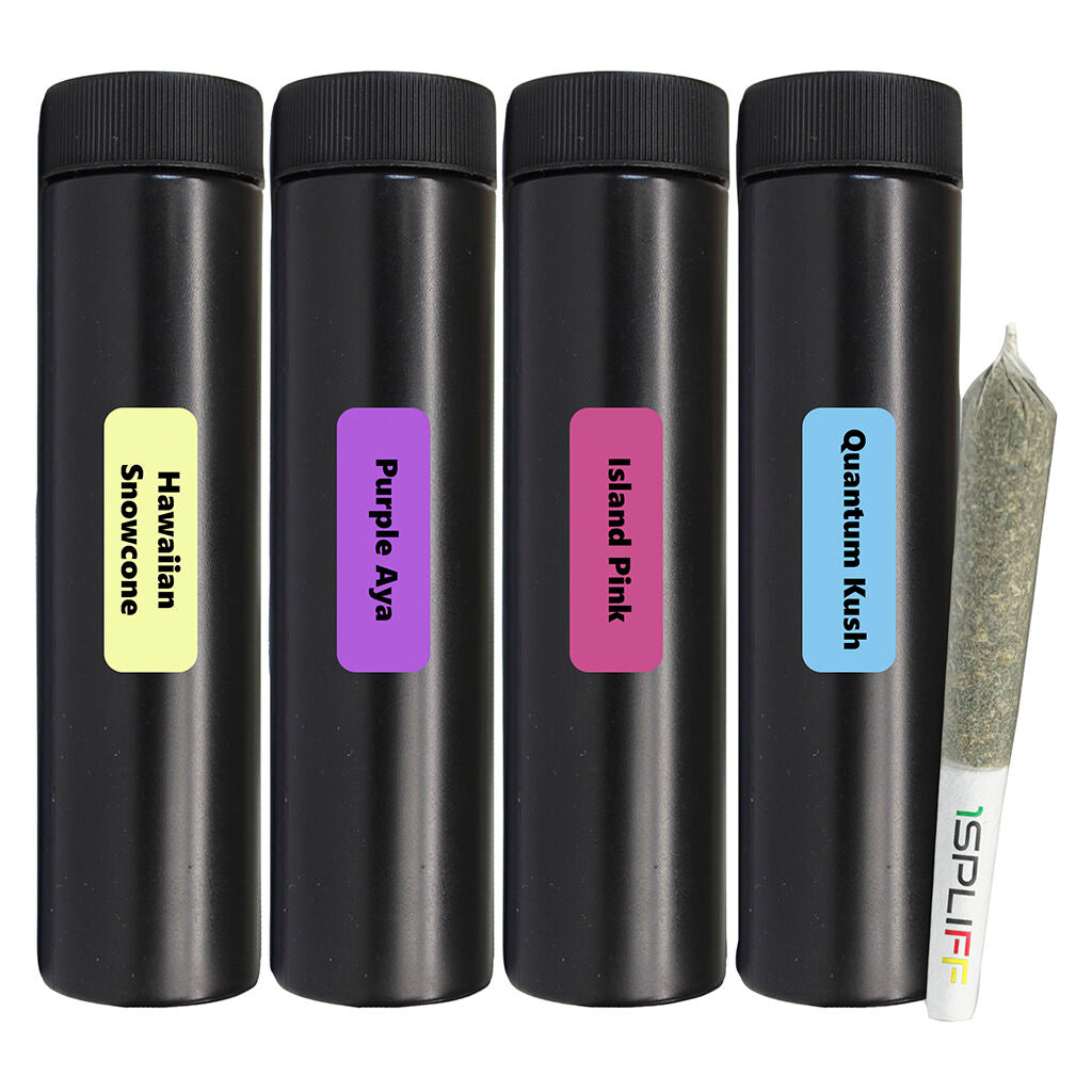 Spliff Caddy Pre-Roll - 