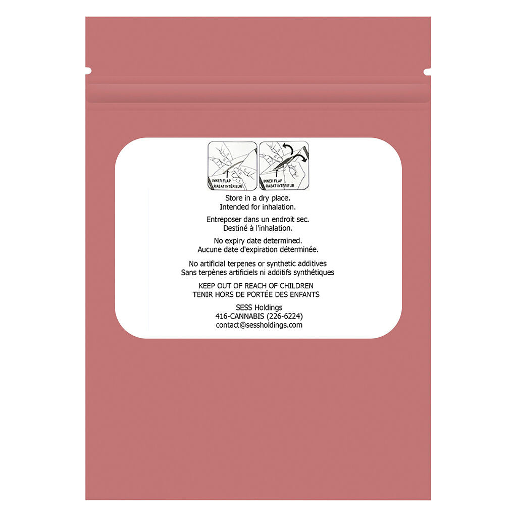 Mini Packs Guava Gum AIO Vape - 