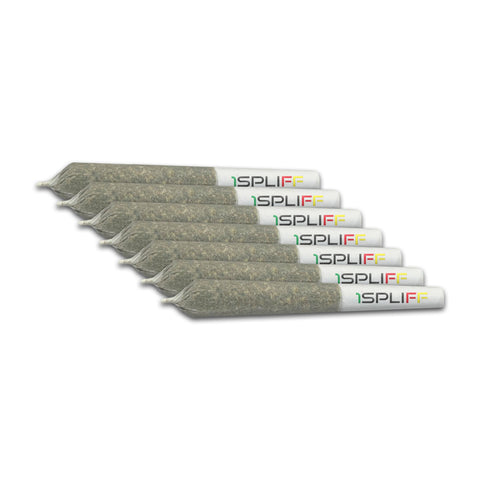 Photo Mmmosa Evo Pre-Roll