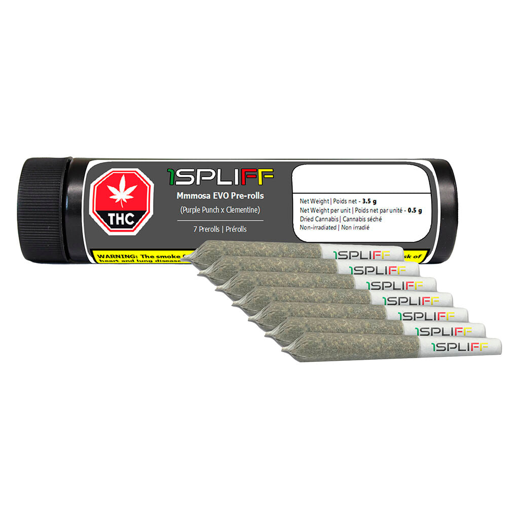 Mmmosa Evo Pre-Roll