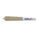 White Lotus Infused Pre-Roll