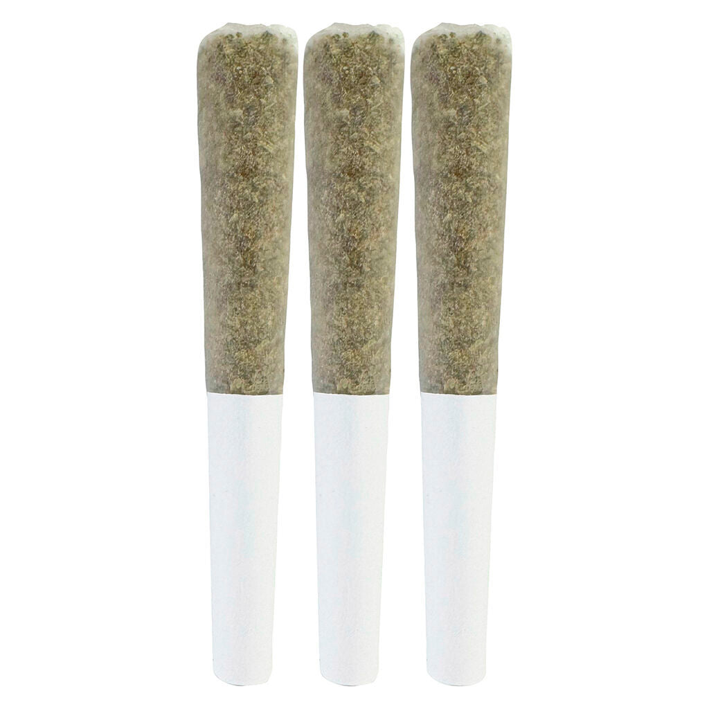 BRAIN FRUIT Live Rosin Infused Pre-Roll - 
