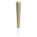 BRAIN FRUIT Live Rosin Infused Pre-Roll
