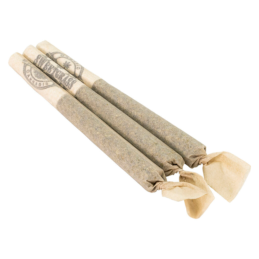 Mint Chocolate Chip Pre-Roll - 