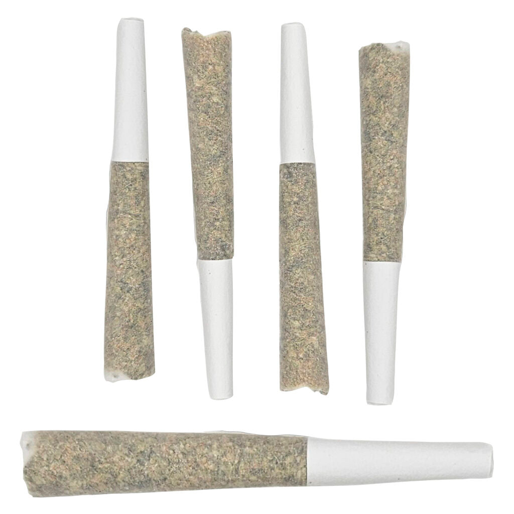 Pandora's Odyssey Pre-Roll - 