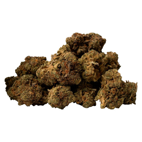 Photo Alternate Reality