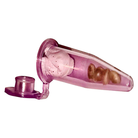 Photo Chronic Tonic x Zombie Kush