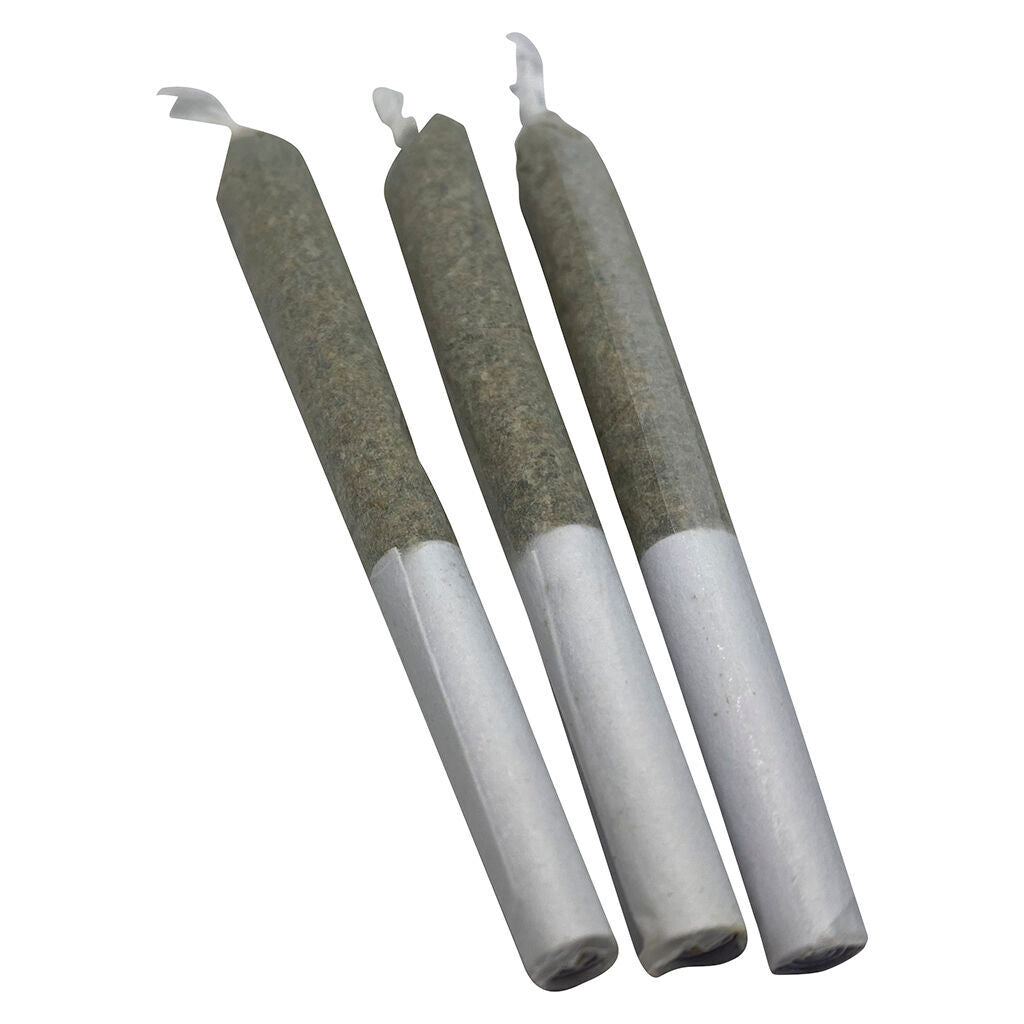 Blueberry Pre-Roll - 