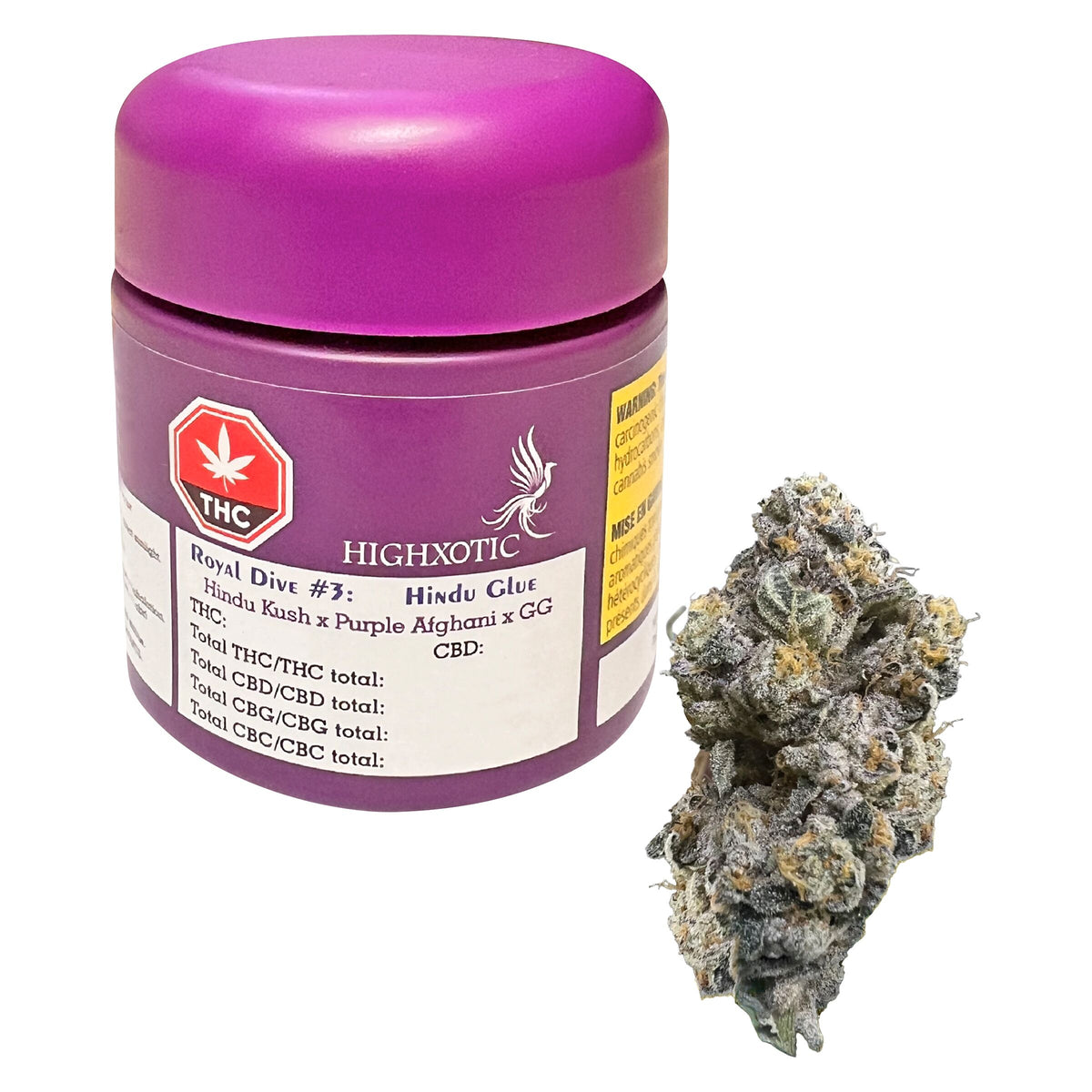 Royal Dive#3: Hindu Glue