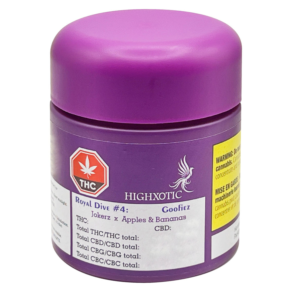 Royal Dive #4: Goofiez - 