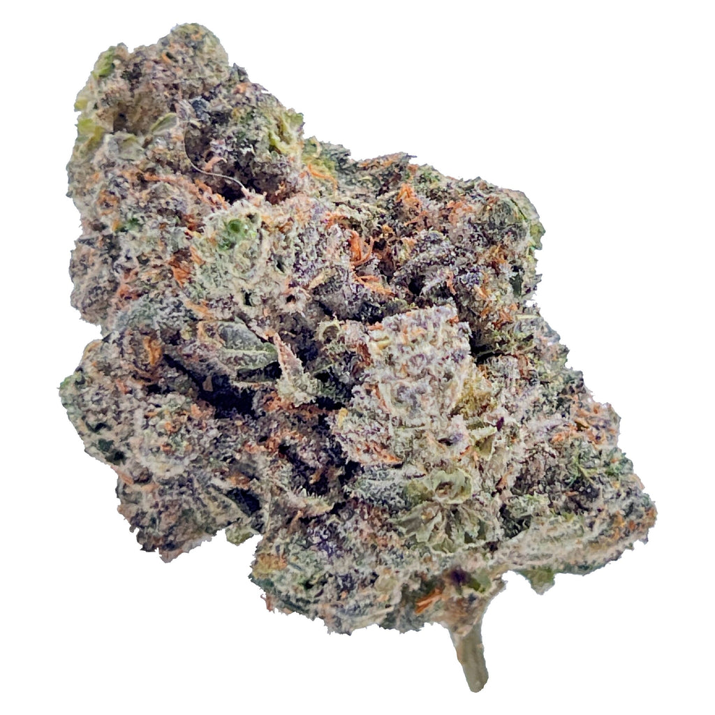 Royal Dive #4: Goofiez - 