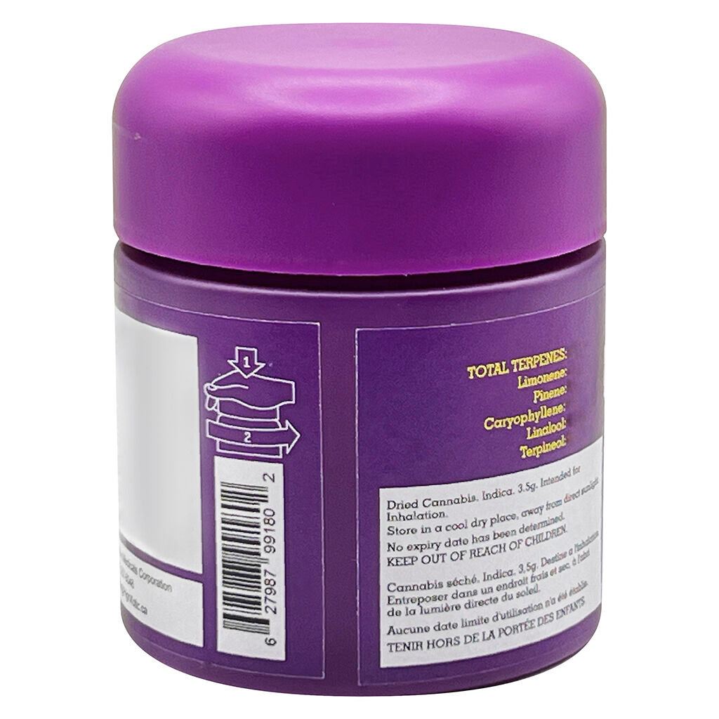 Royal Dive #4: Goofiez - 