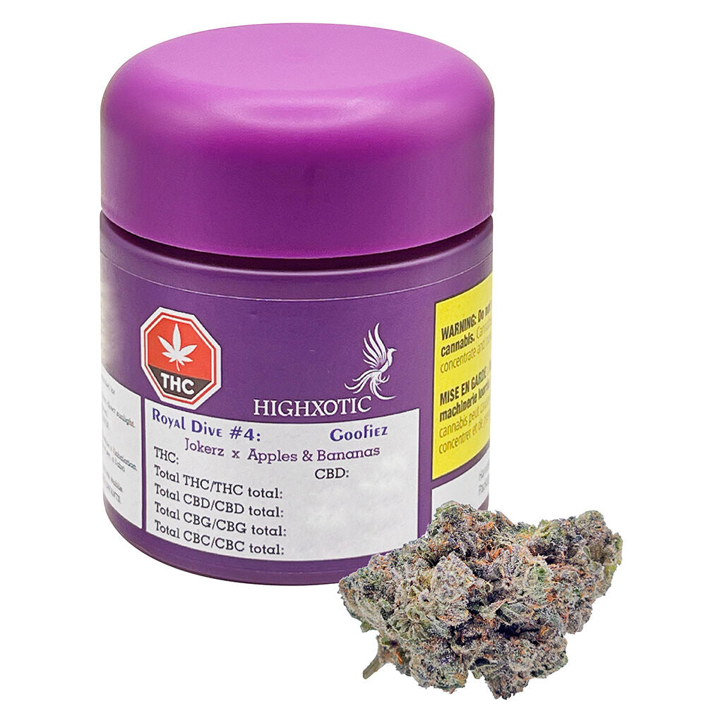 Royal Dive #4: Goofiez - 