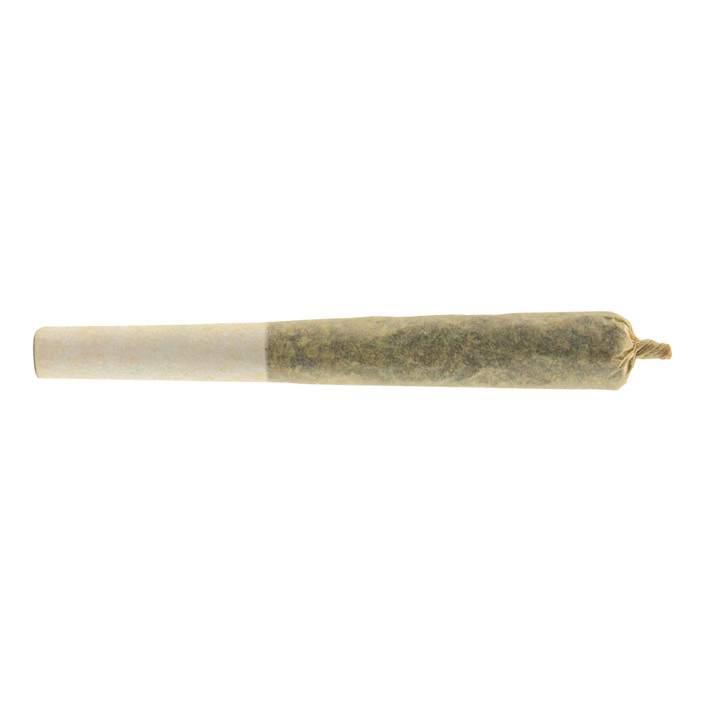 Afghan Gold Hash Infused Pre-Roll - 