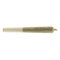 Photo Afghan Gold Hash Infused Pre-Roll