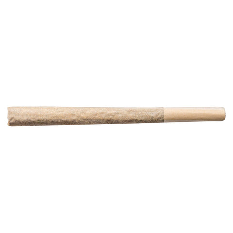 Photo Midnight Cake Pre-Roll