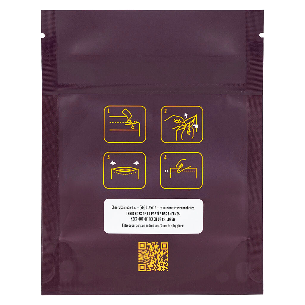 Holy Haze Hash - 