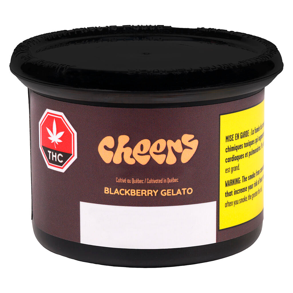 Blackberry Gelato - 