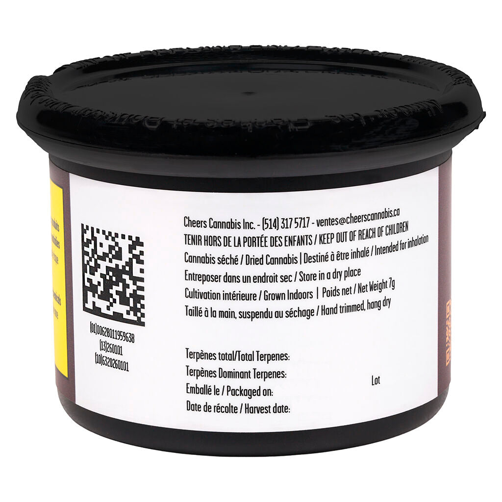 Blackberry Gelato - 
