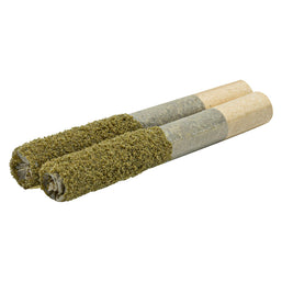 Photo Terpgasm Dusted Dank 1s Infused Pre-Roll