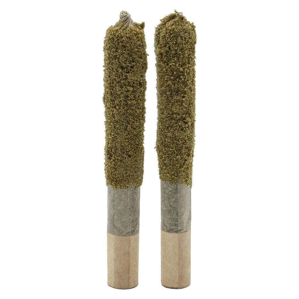 Forbidden RNTZ Dusted Dank 1's Infused Pre-Roll - 