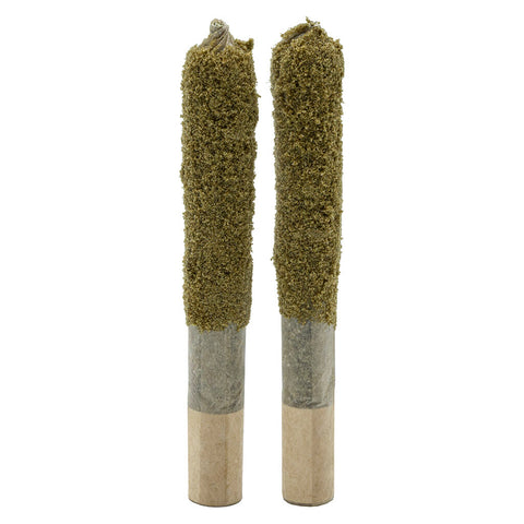Photo Forbidden RNTZ Dusted Dank 1's Infused Pre-Roll