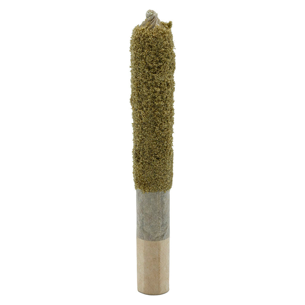 Mosa x Blood Orange Dusted Dank 1 Infused Pre-Roll - 