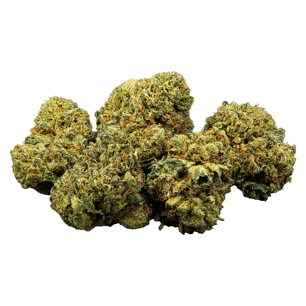 Golden Goat - 