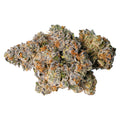Gelato33