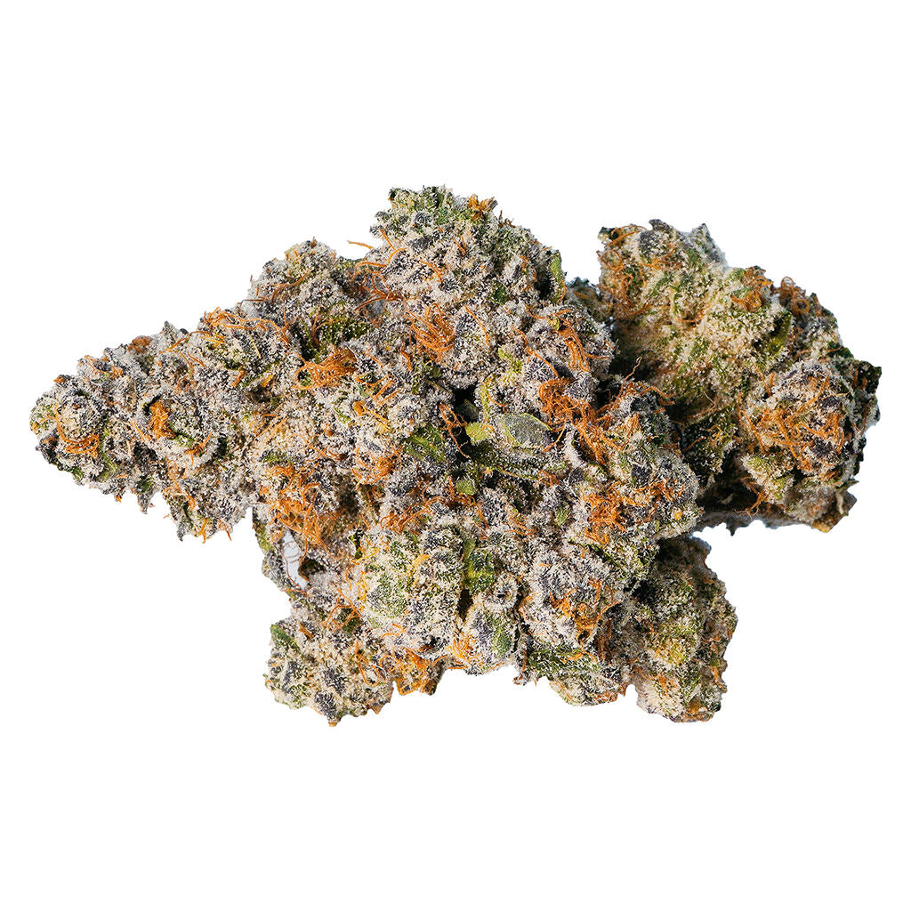 Gelato 33 - 