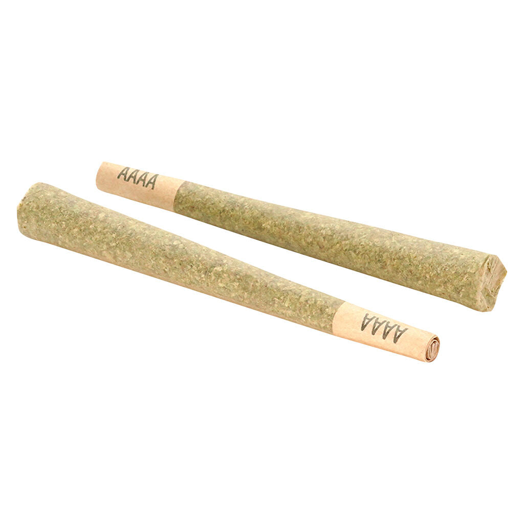 Préroulé Gelato33