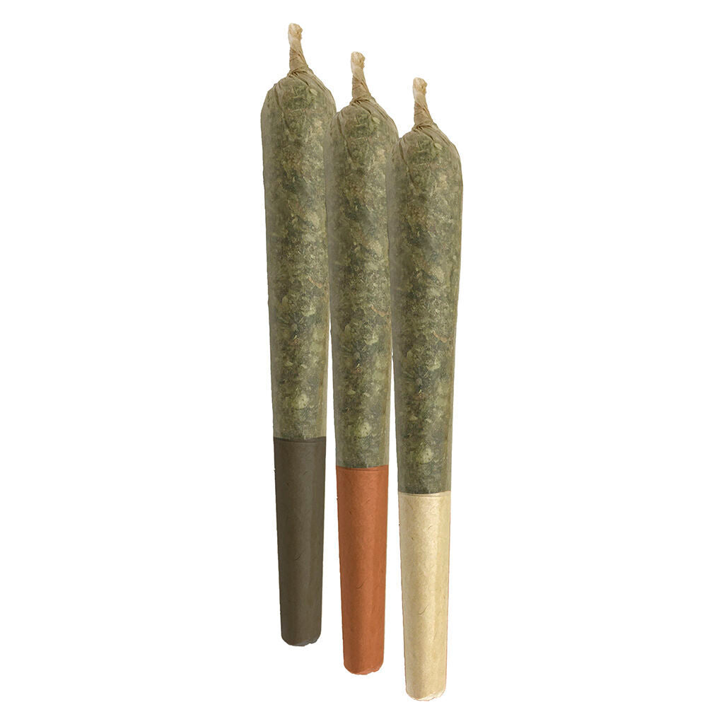 Triple Beam Pre-Roll - 