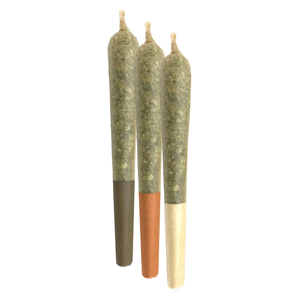 Triple Beam Pre-Roll - 
