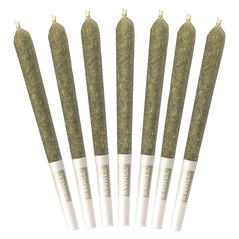 Photo Death Vader Pre-Roll