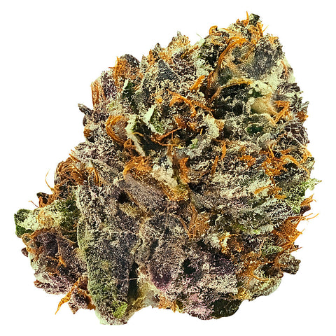 Photo TF Pink Kush