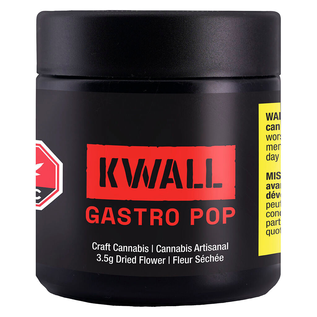 Gastro Pop - 