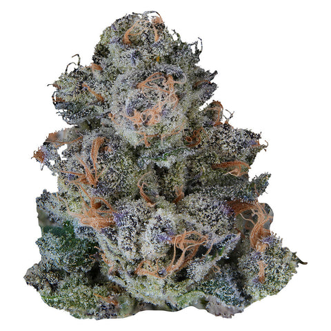 Photo Platinum Lemon Cherry Gelato