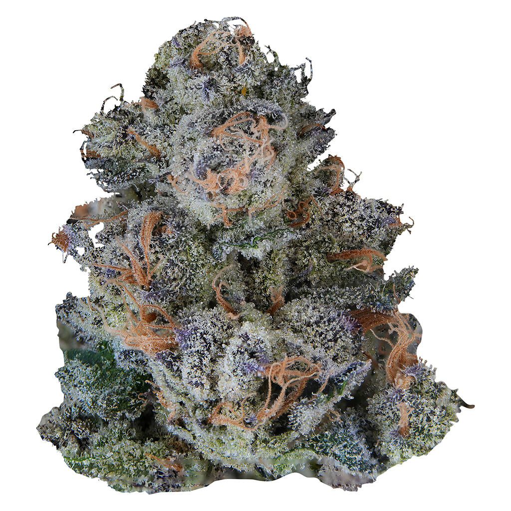 Platinum Lemon Cherry Gelato - 