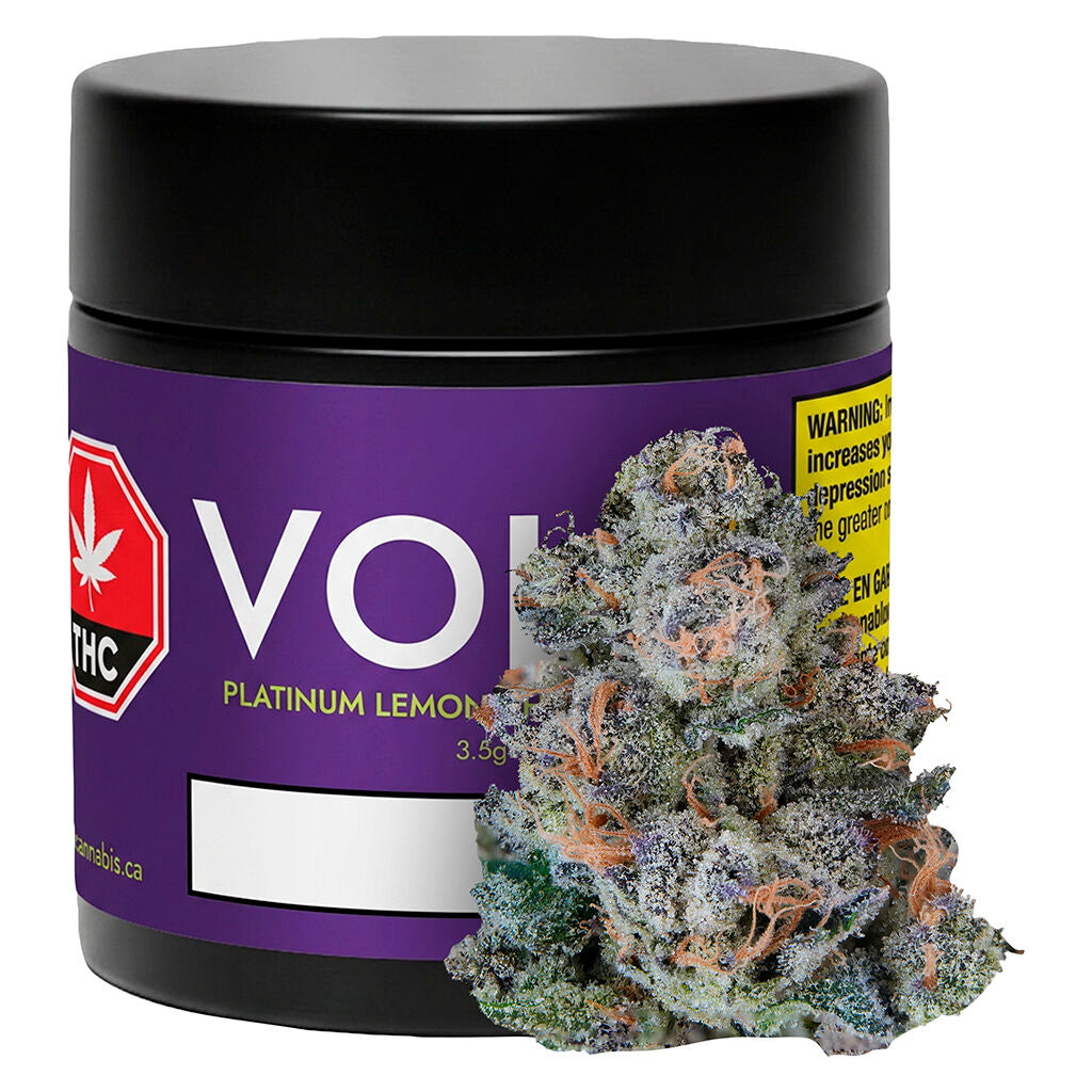 Platinum Lemon Cherry Gelato - 