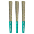 Rainbow Lava Pre-Roll