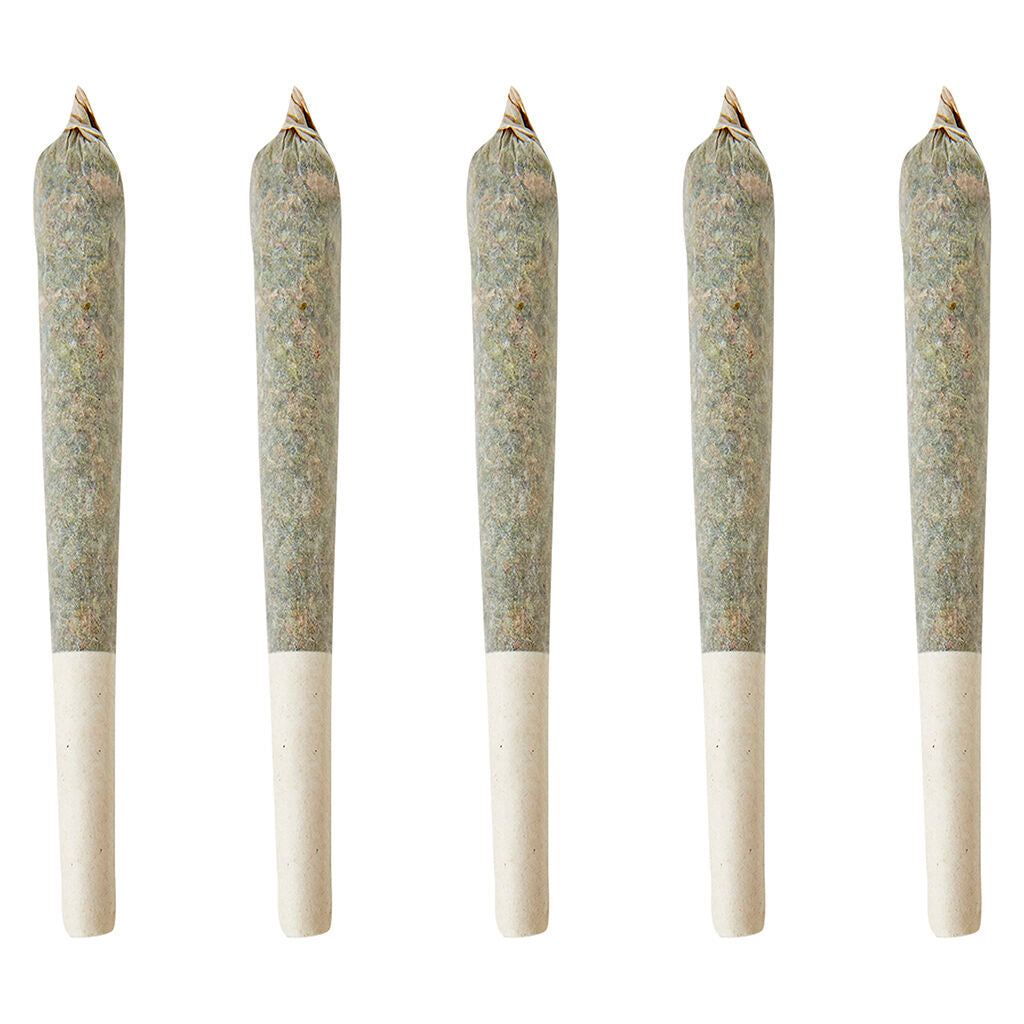 Premium Craft - Sativa Pre-Roll - Lemon Diesel - 