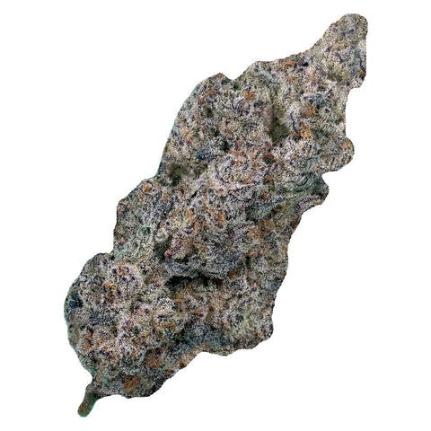 Photo Truffaloha