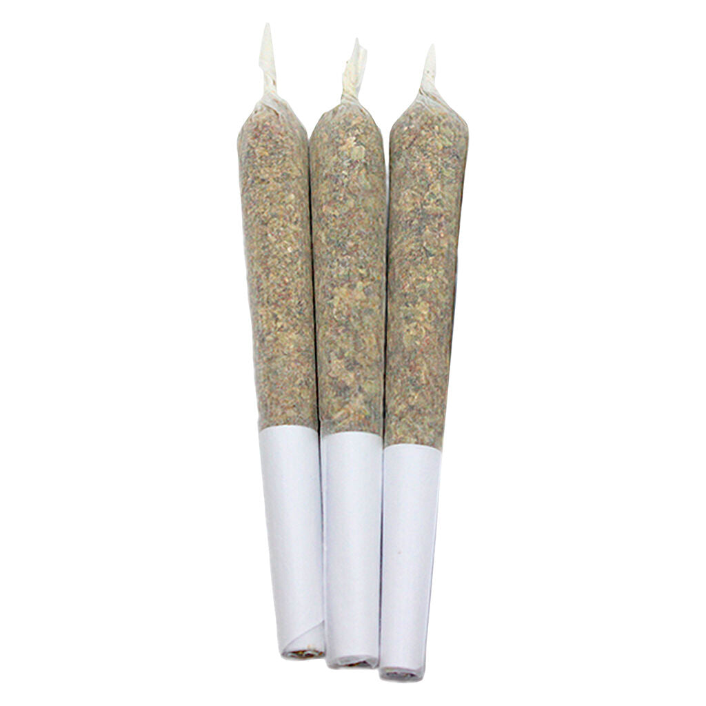 Wild Watermelon Coconut Live Rosin + Disty Infused Pre-Rolls - 