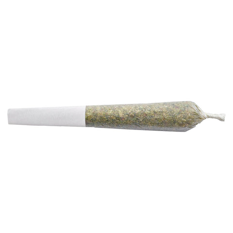 Photo Bride of Dankenstein Pre-Roll