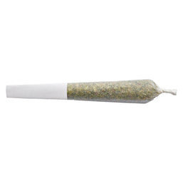 Photo Bride of Dankenstein Pre-Roll