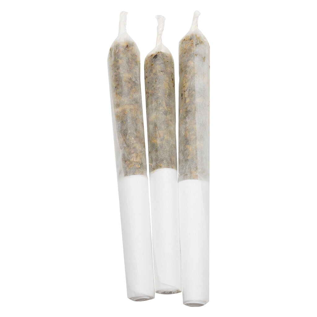 Pineapple Coconut Escape Infused Pre-Roll - 