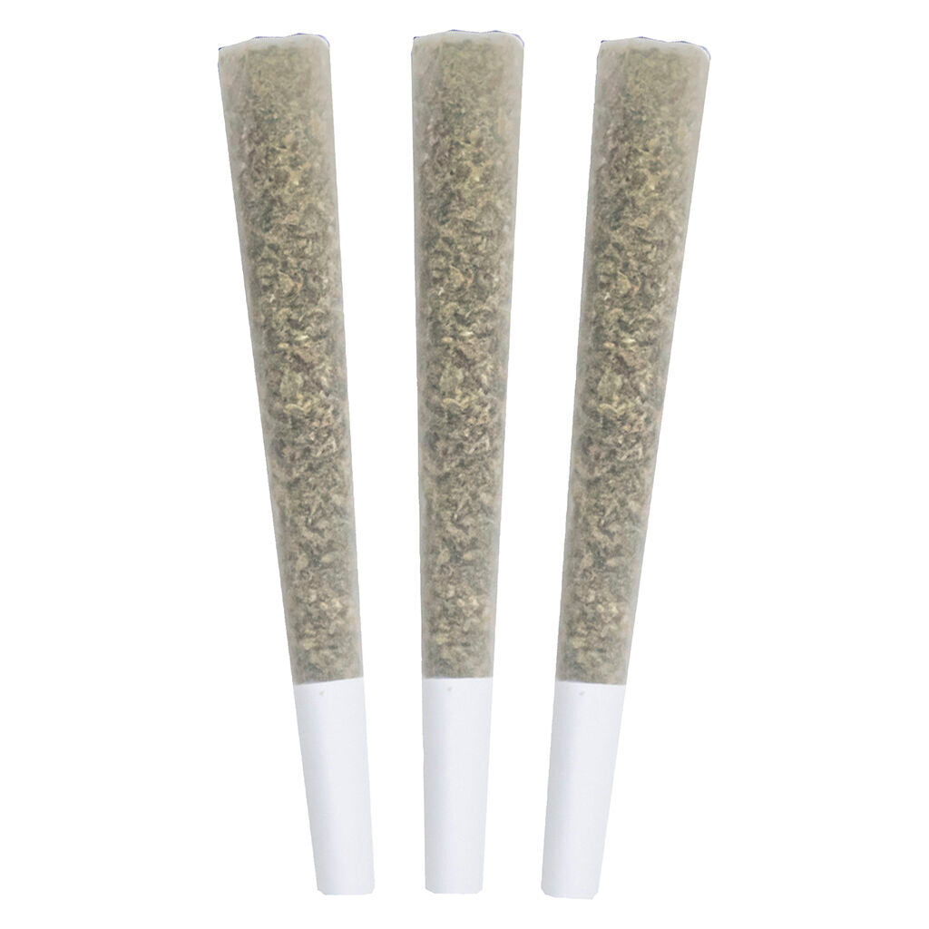 Genetic Funk Pre-Roll - 