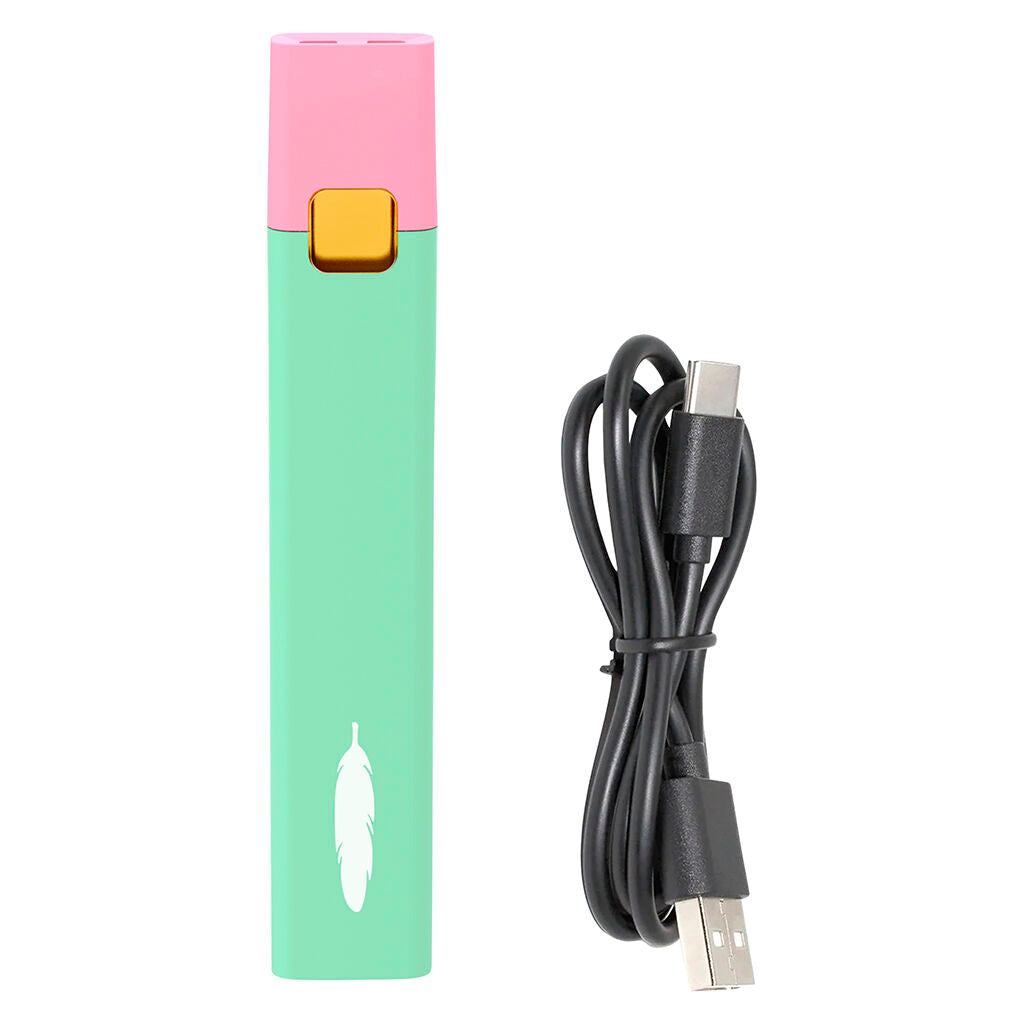 Peach Pear Puff Disposable USB-C Kit - 